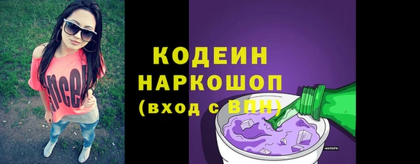 гашик Вязьма