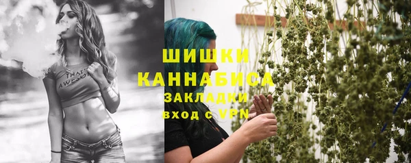 гашик Вязьма